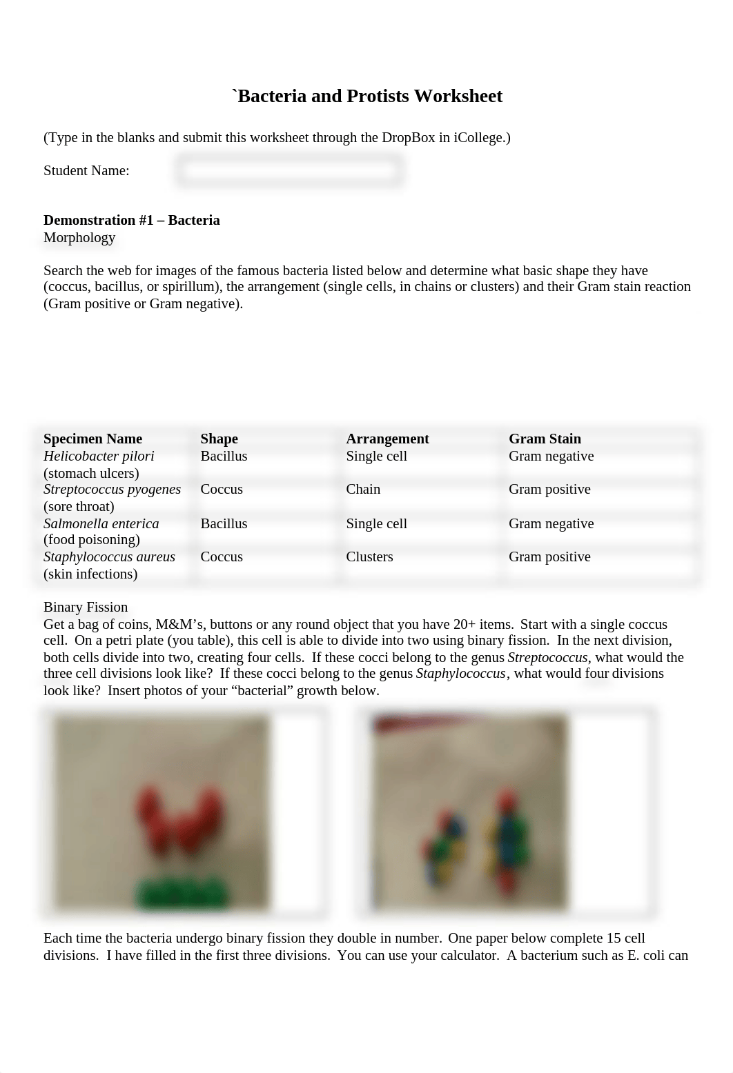 Bacteria and Protist Worksheet S15.doc_dr2lm4ilszy_page1