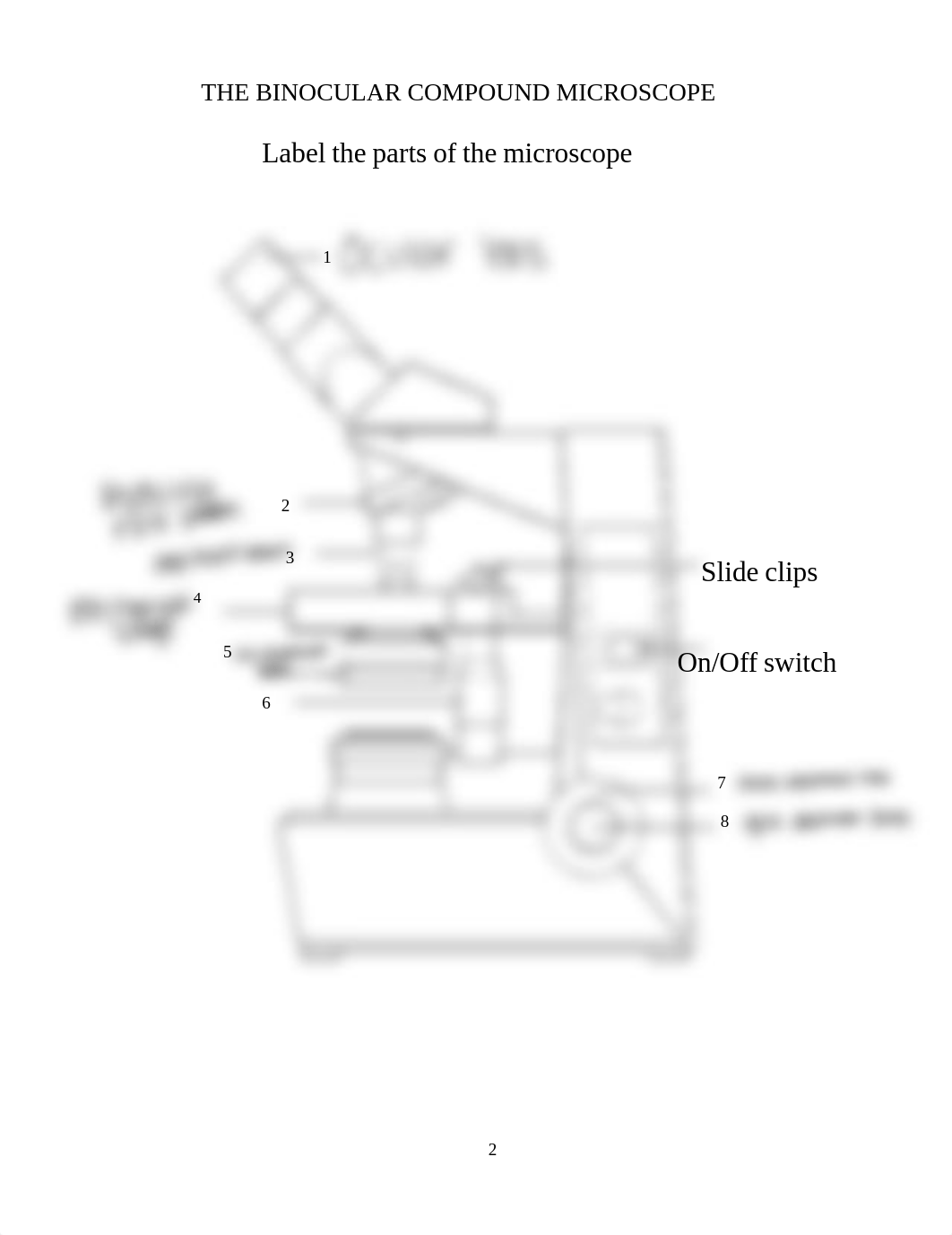 Lab+4+Microscopy+cell+structure+copy.pdf_dr2vuhl5zvu_page2