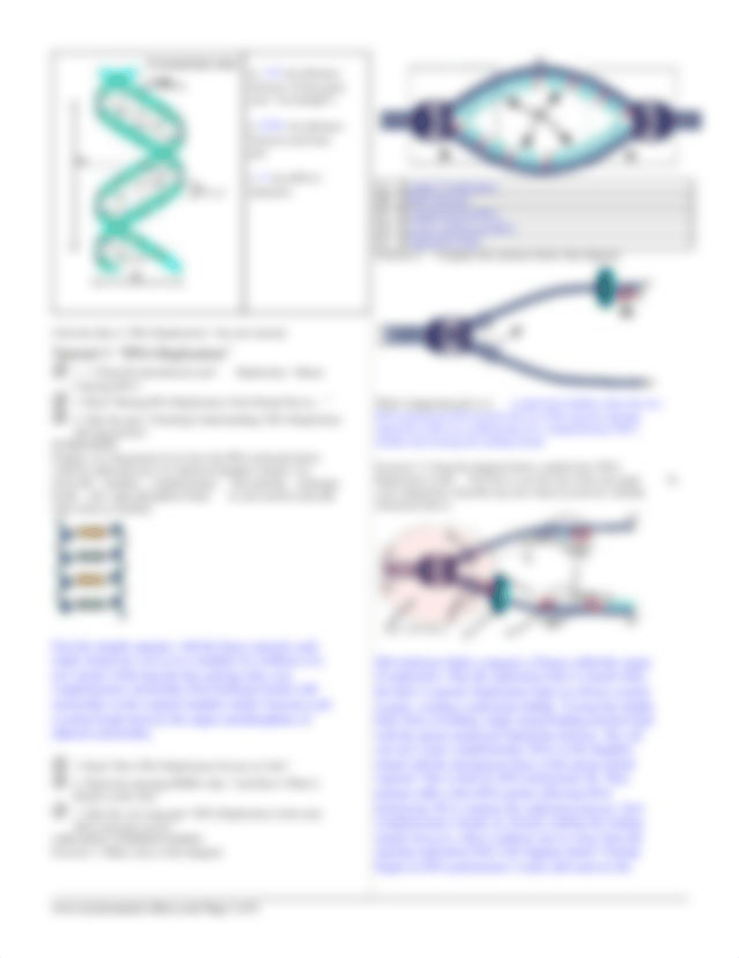 dna structure and replication ws.pdf_dr2wyl6brhp_page2