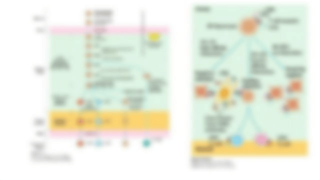 immuno combined.pdf_dr365e9andy_page1