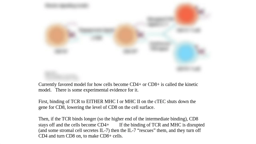 immuno combined.pdf_dr365e9andy_page4