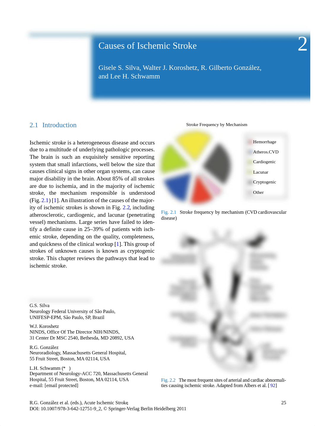 Causes_of_Ischemic_Stroke.pdf_dr36w8adwvf_page2