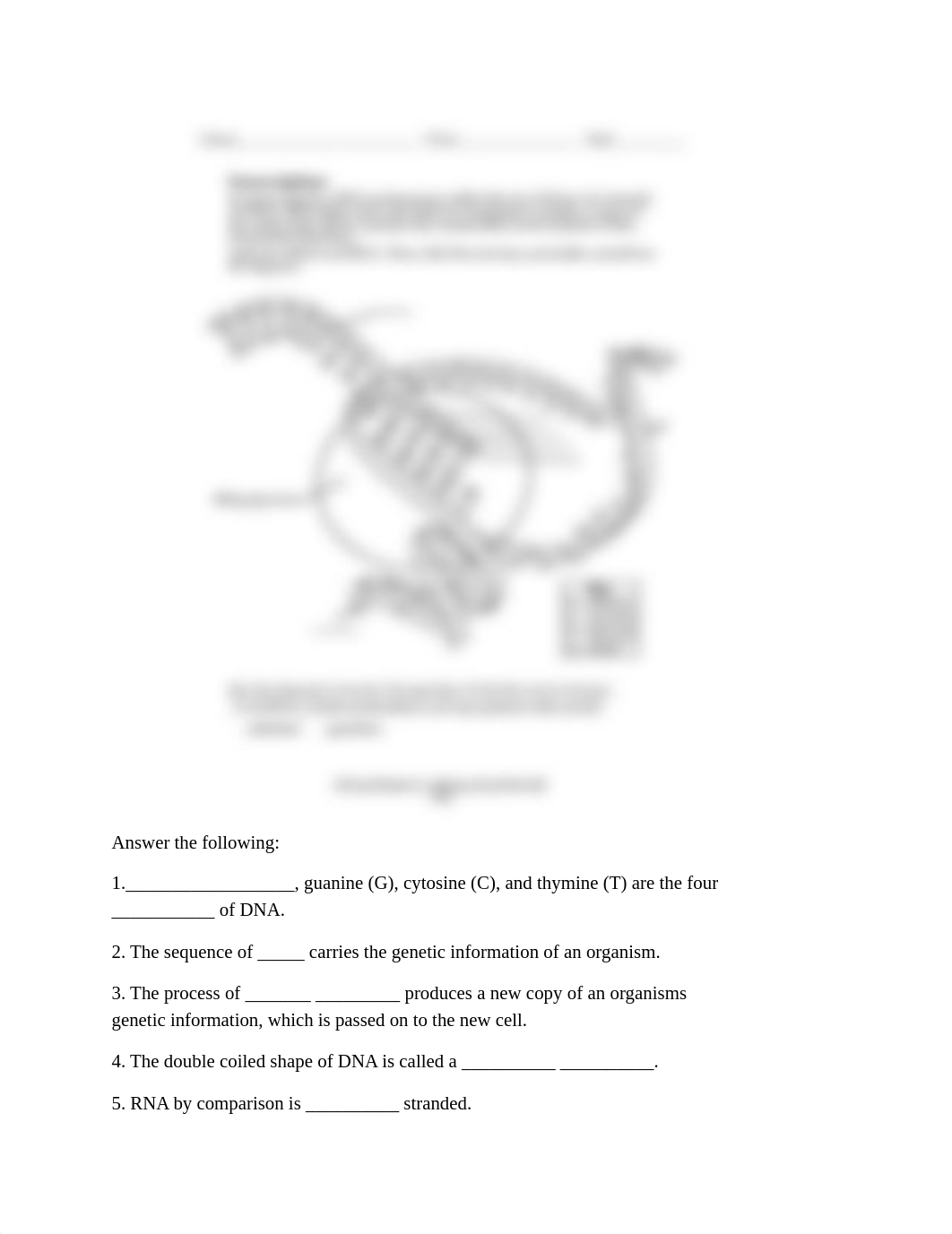 DNA Replication worksheet.pdf_dr38vo29qbt_page1