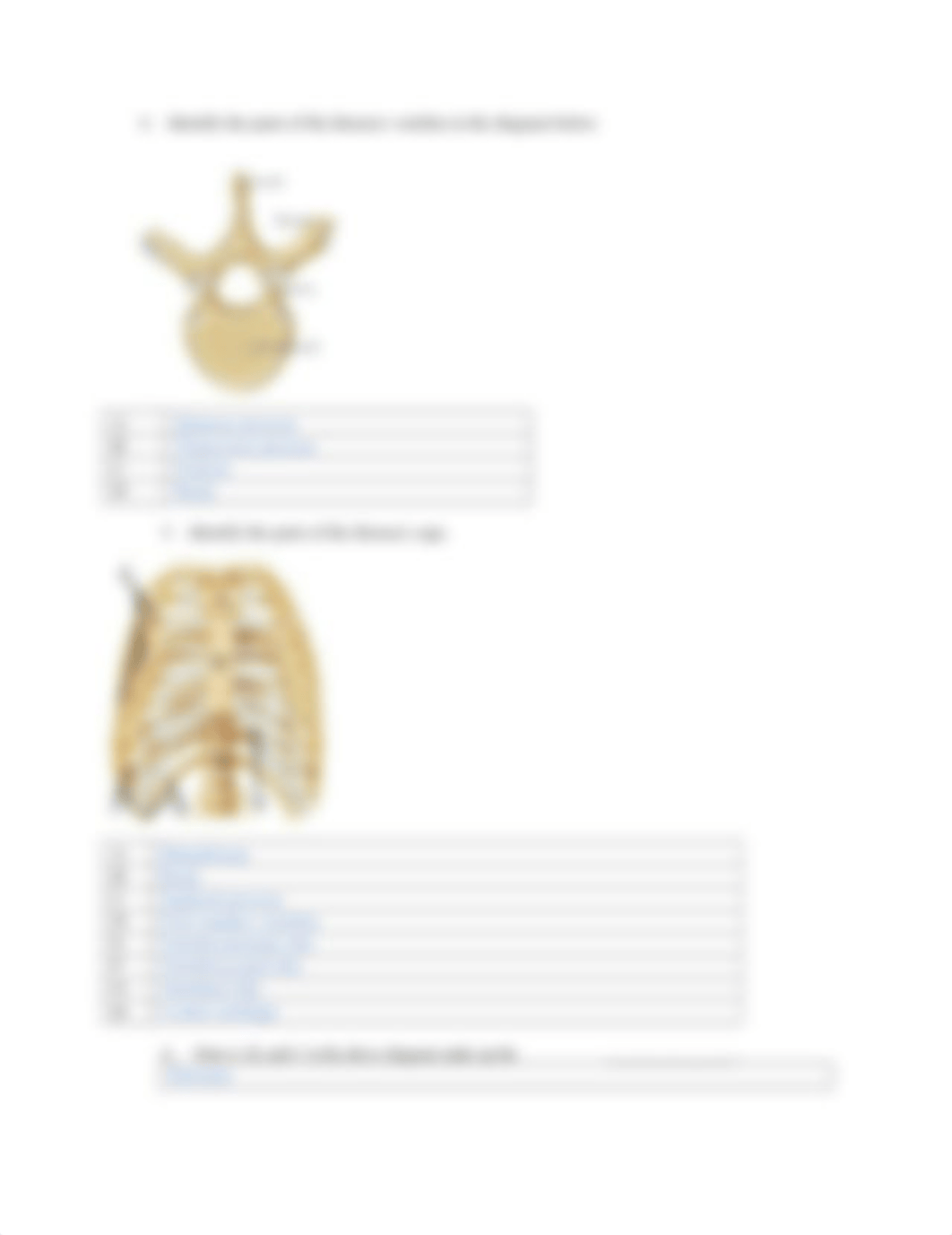 (MIKEL)Musculoskeletal System Lab Report Activity 3 (1).docx_dr3djdoxofi_page3