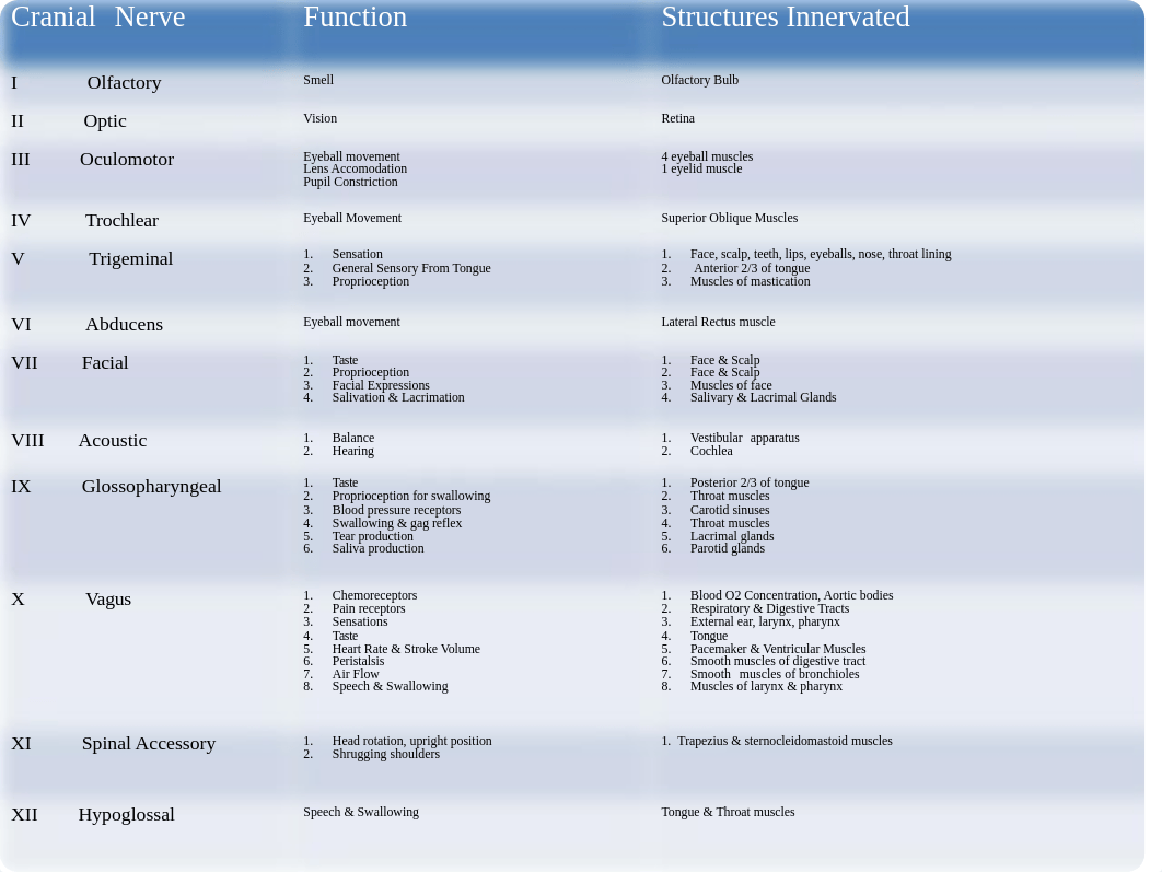 Brain Injury (2).pptx_dr3e2iwmzpy_page5