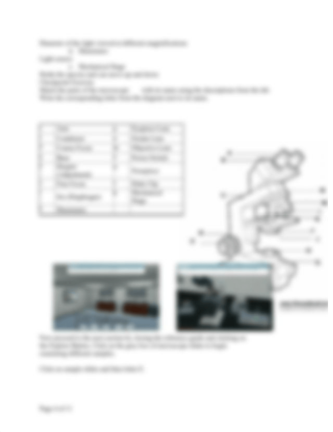 Lab 4 - Virtual Microscopy .docx_dr3hs89sh5z_page4