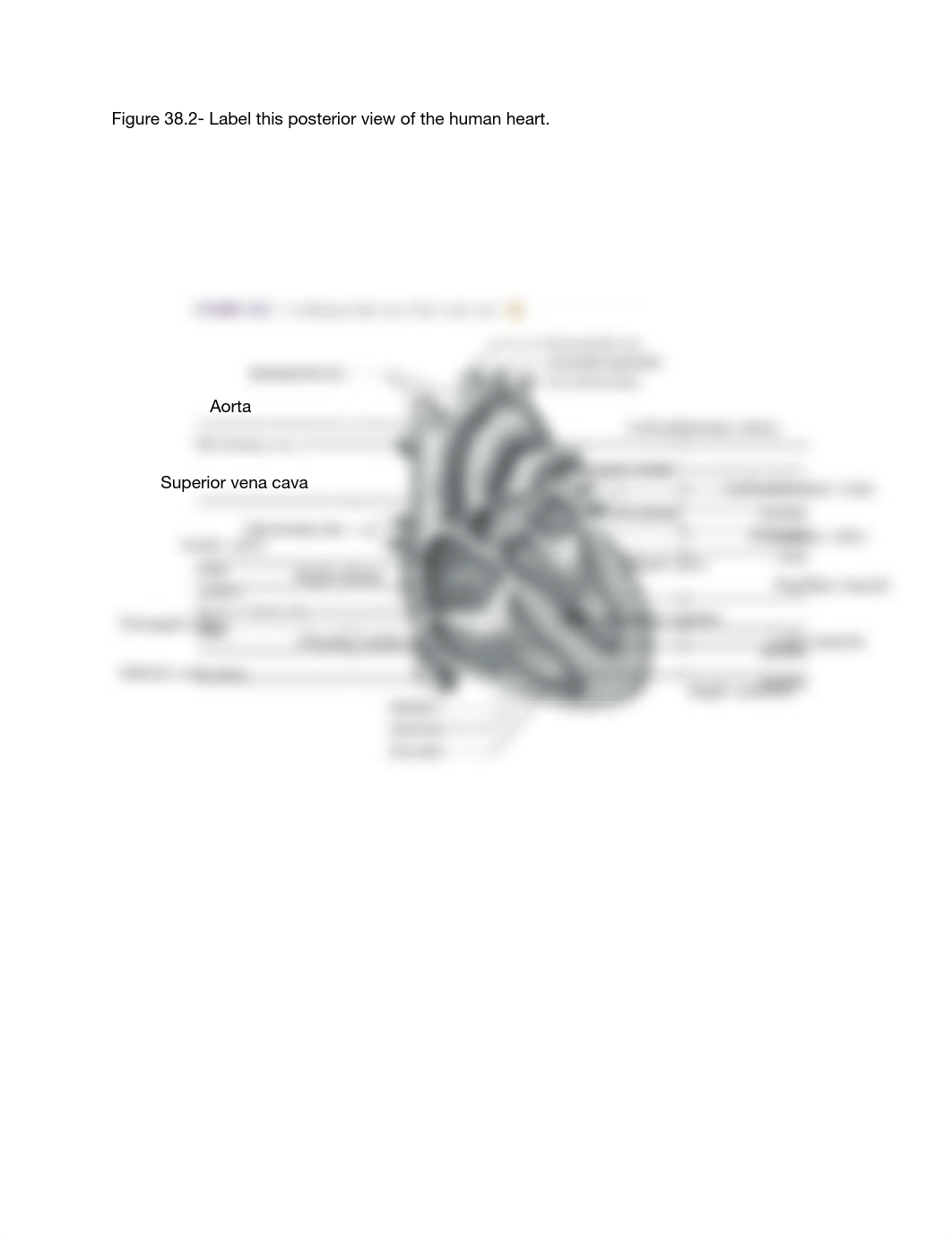 Lab Report 38 Figures 38.1, 38.2, and 38.3.pdf_dr3k6rmnnm6_page2