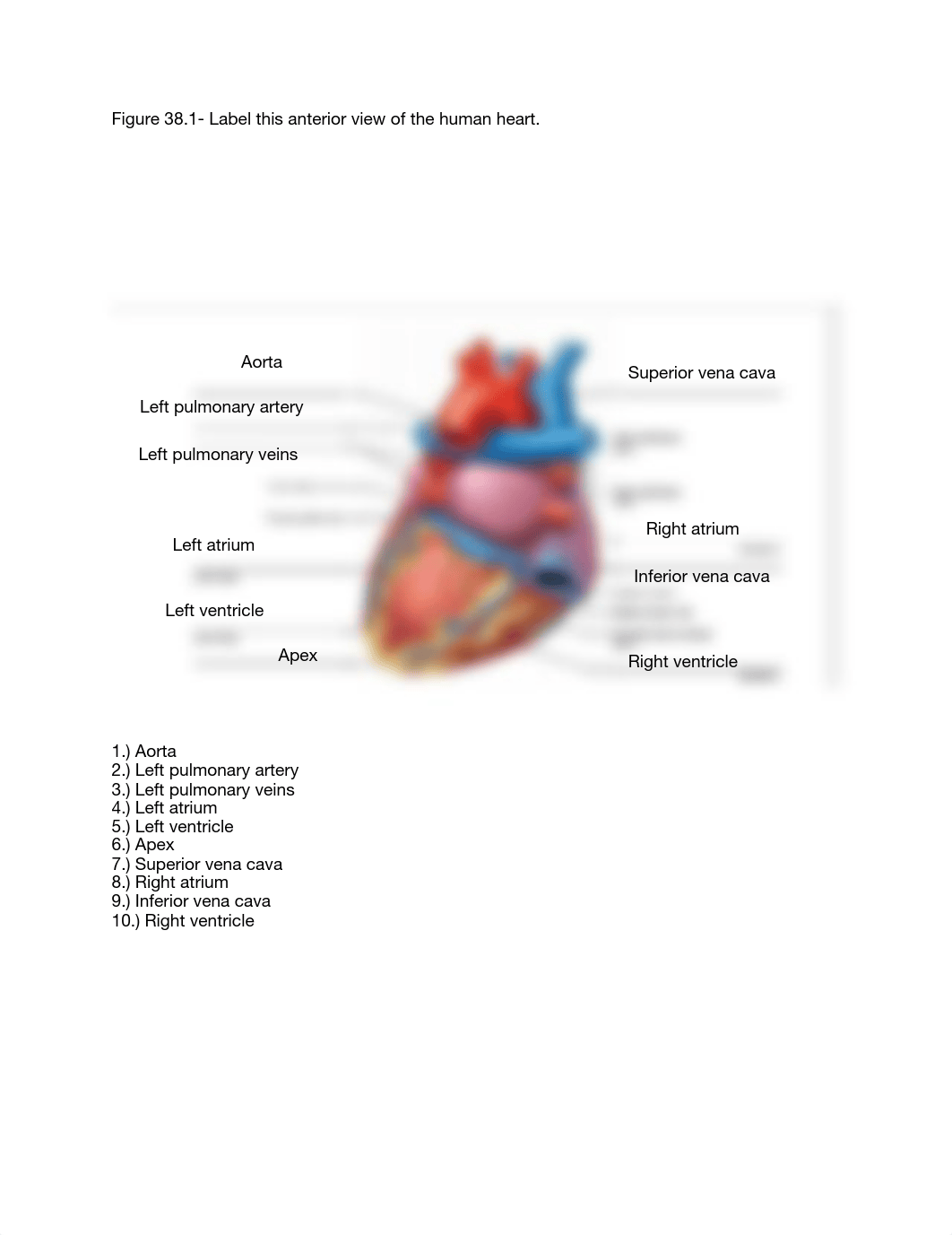 Lab Report 38 Figures 38.1, 38.2, and 38.3.pdf_dr3k6rmnnm6_page1