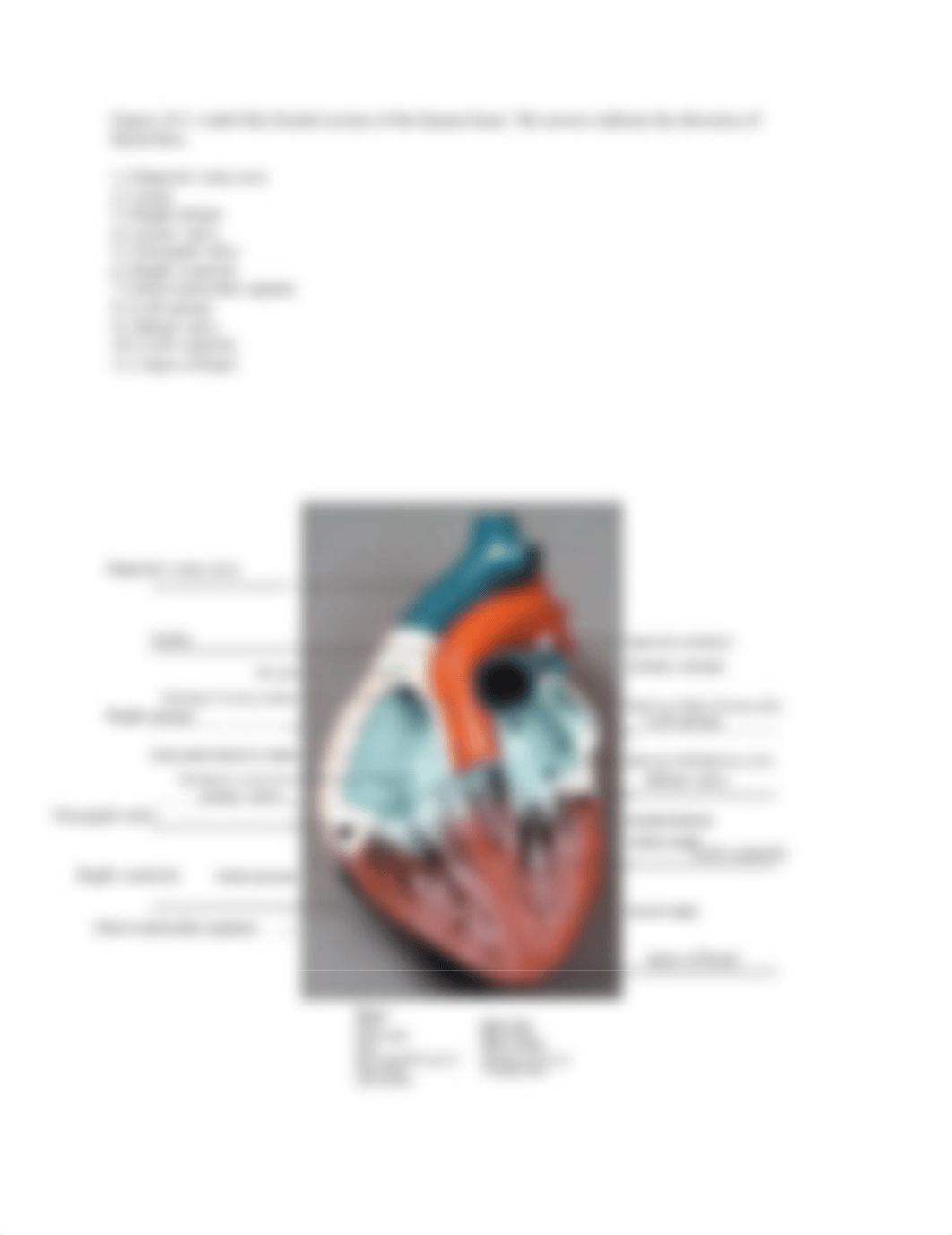 Lab Report 38 Figures 38.1, 38.2, and 38.3.pdf_dr3k6rmnnm6_page3