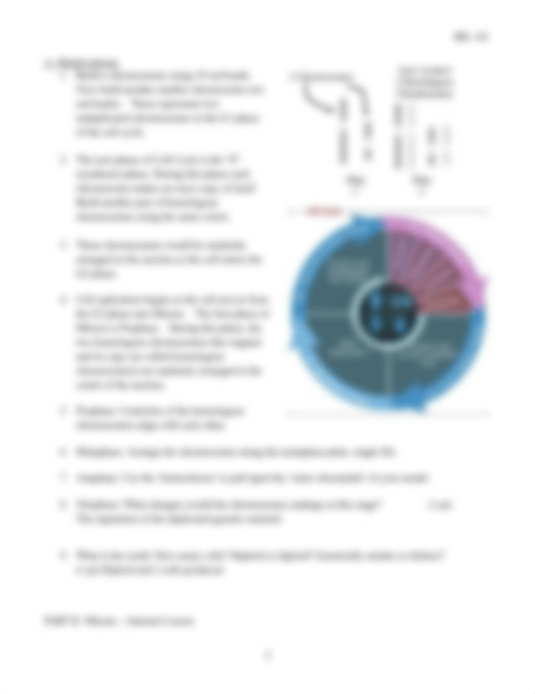 Lab9-mitosis- Donzo meiosis_VirtualLab-2.docx_dr3mqlx2cu3_page2