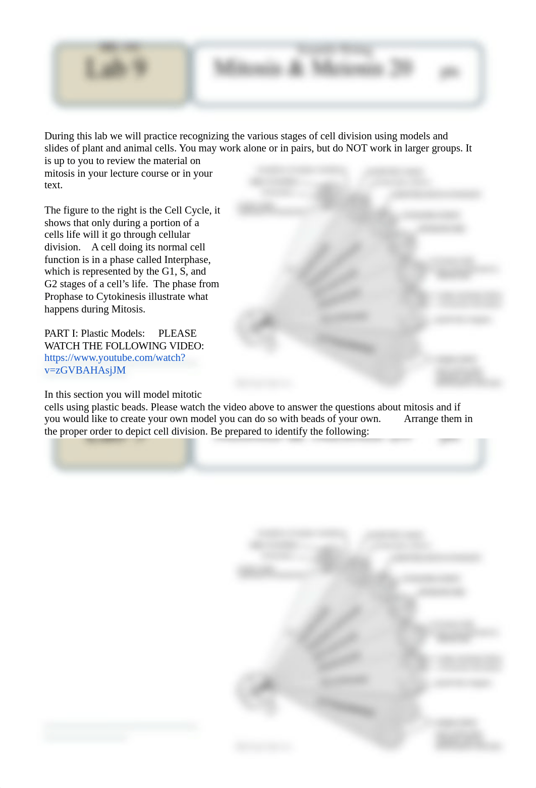 Lab9-mitosis- Donzo meiosis_VirtualLab-2.docx_dr3mqlx2cu3_page1