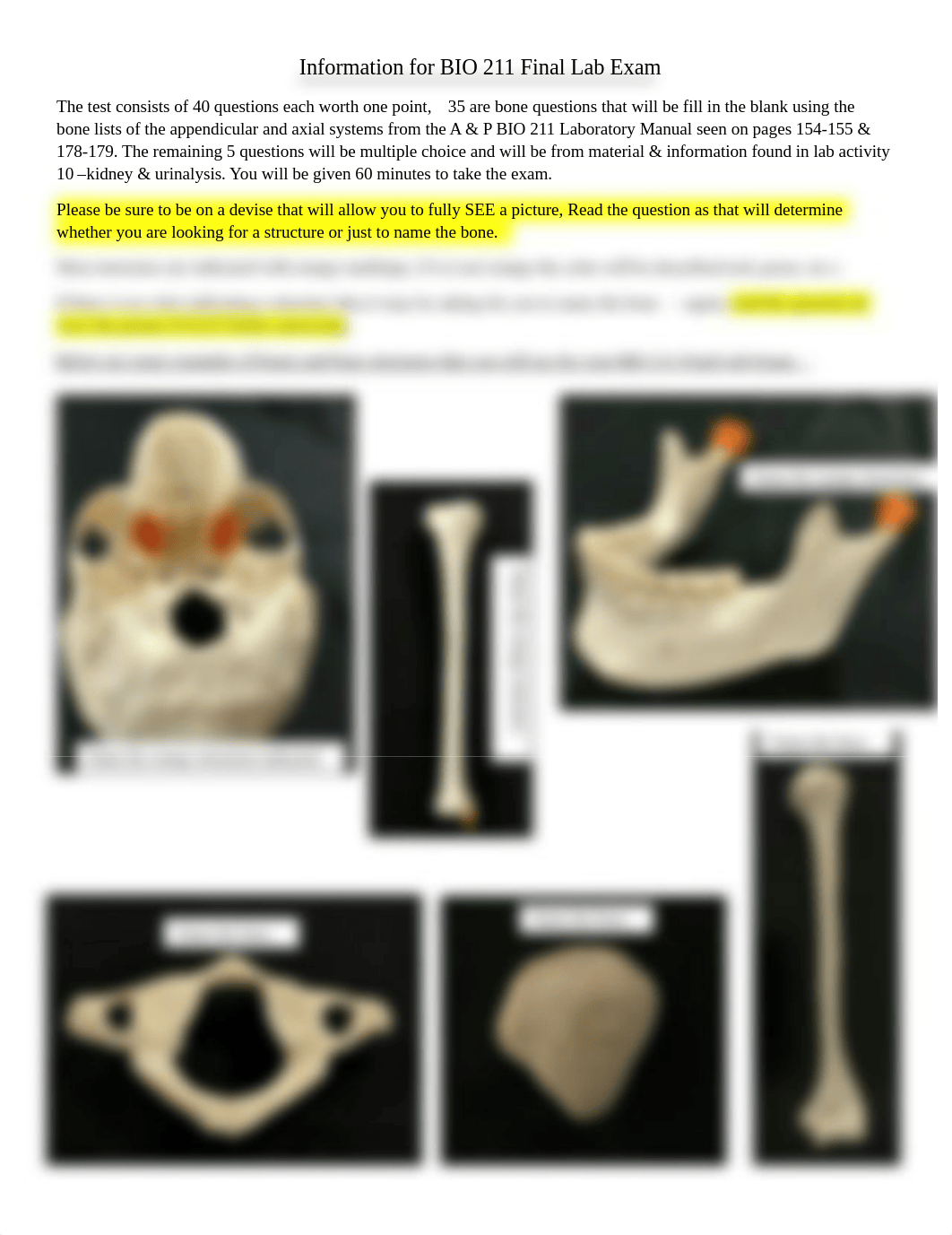 Information for BIO 211 Final Lab Exam.pdf_dr3weknksm7_page1