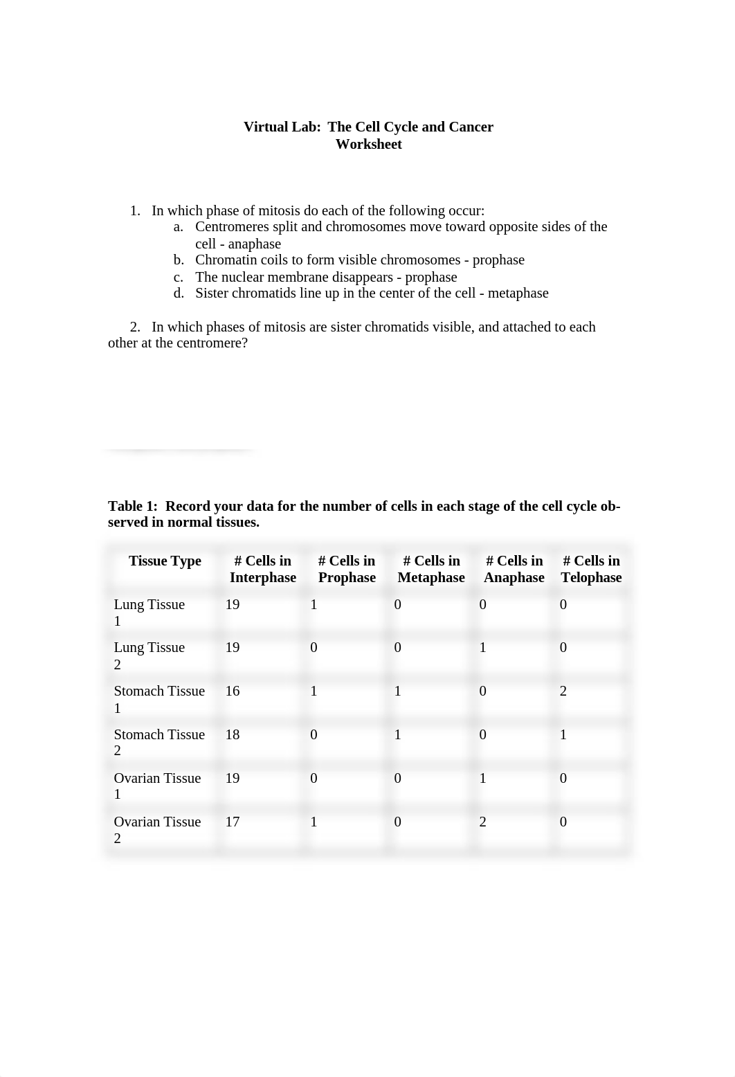 The Cell Cycle and Cancer Lab and Worksheet.docx_dr3yn0gbt6i_page1