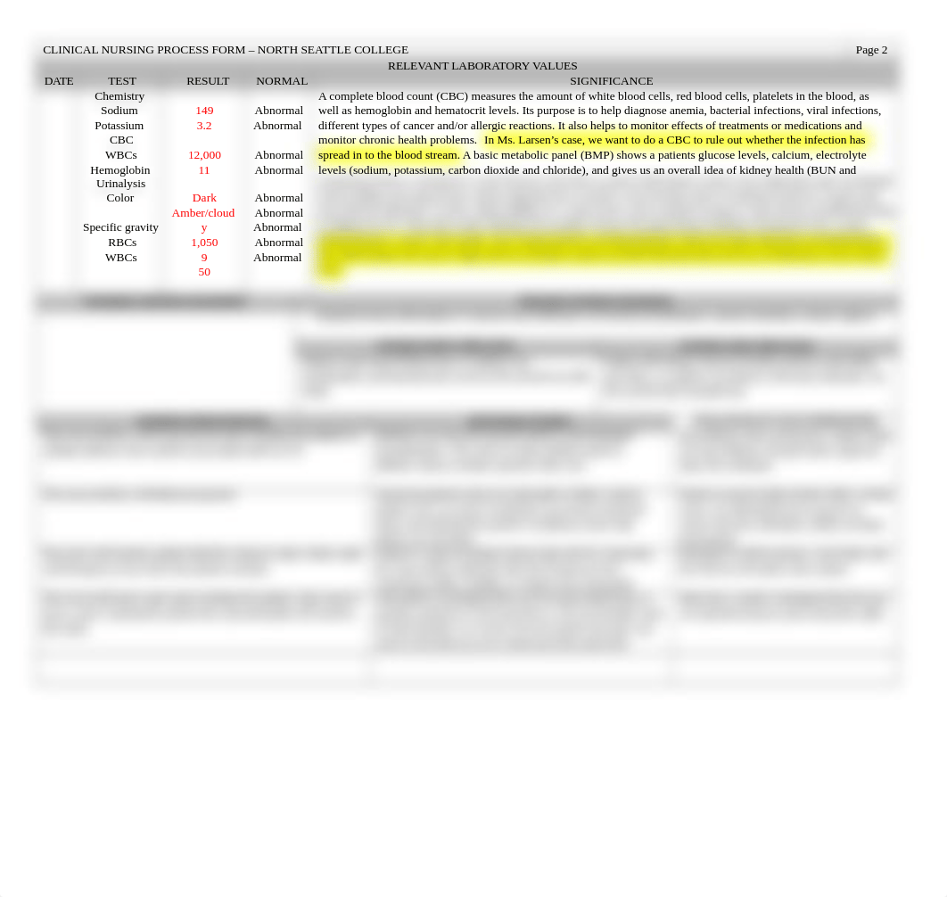 Millie Larsen Care Plan.docx_dr3zwbiwij0_page3