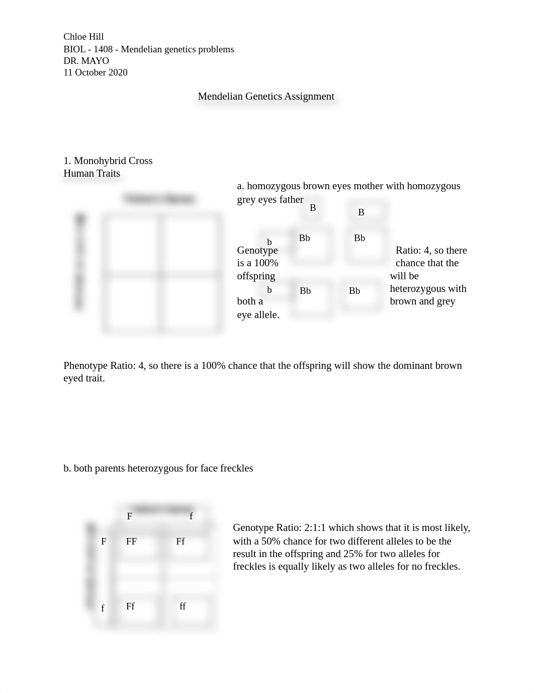 lab 5 - Mendelian Genetics Assignment.docx_dr4171e3yzc_page1