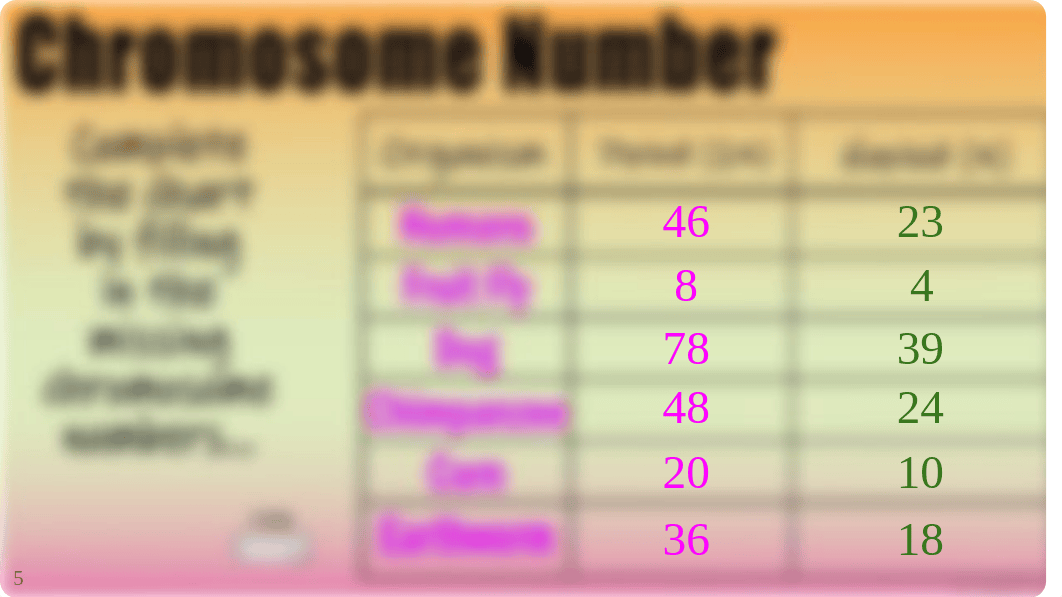 Meiosis + Mitosis - Bio 1.pdf_dr44bl3ntu9_page3