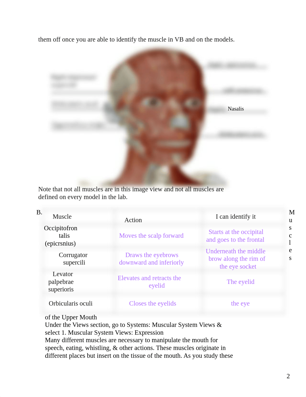 2023 ZOOL 2011.17 VB11 Lab Activity - Skeletal Muscles Part 1.doc_dr45aujr1uz_page2