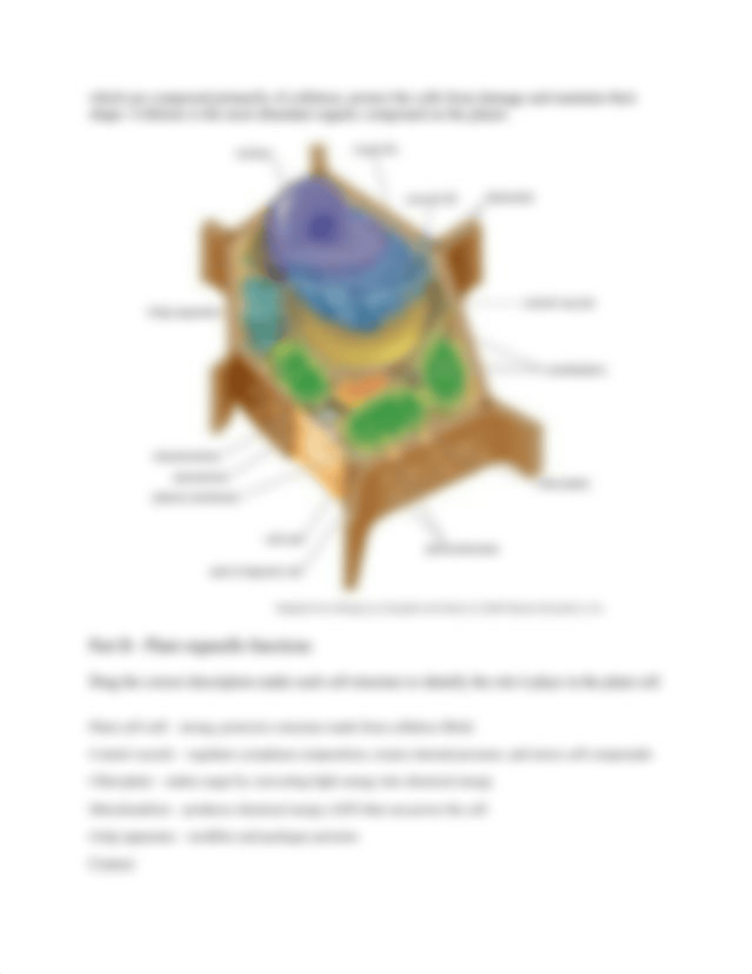 Chapter 6 Homework_dr46g7u9kap_page3