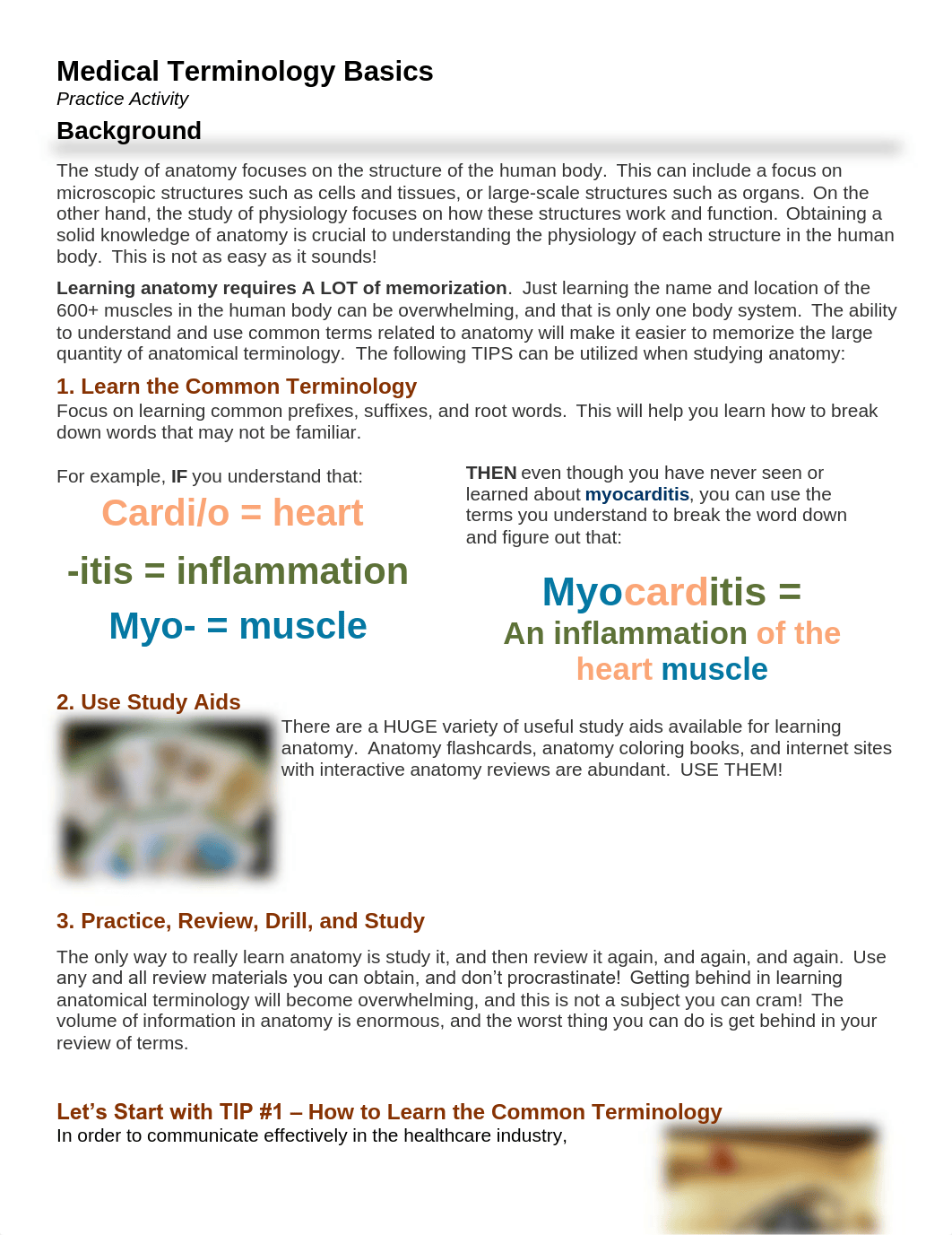 Medical Terminology Worksheet.pdf_dr4c4pl67dt_page1