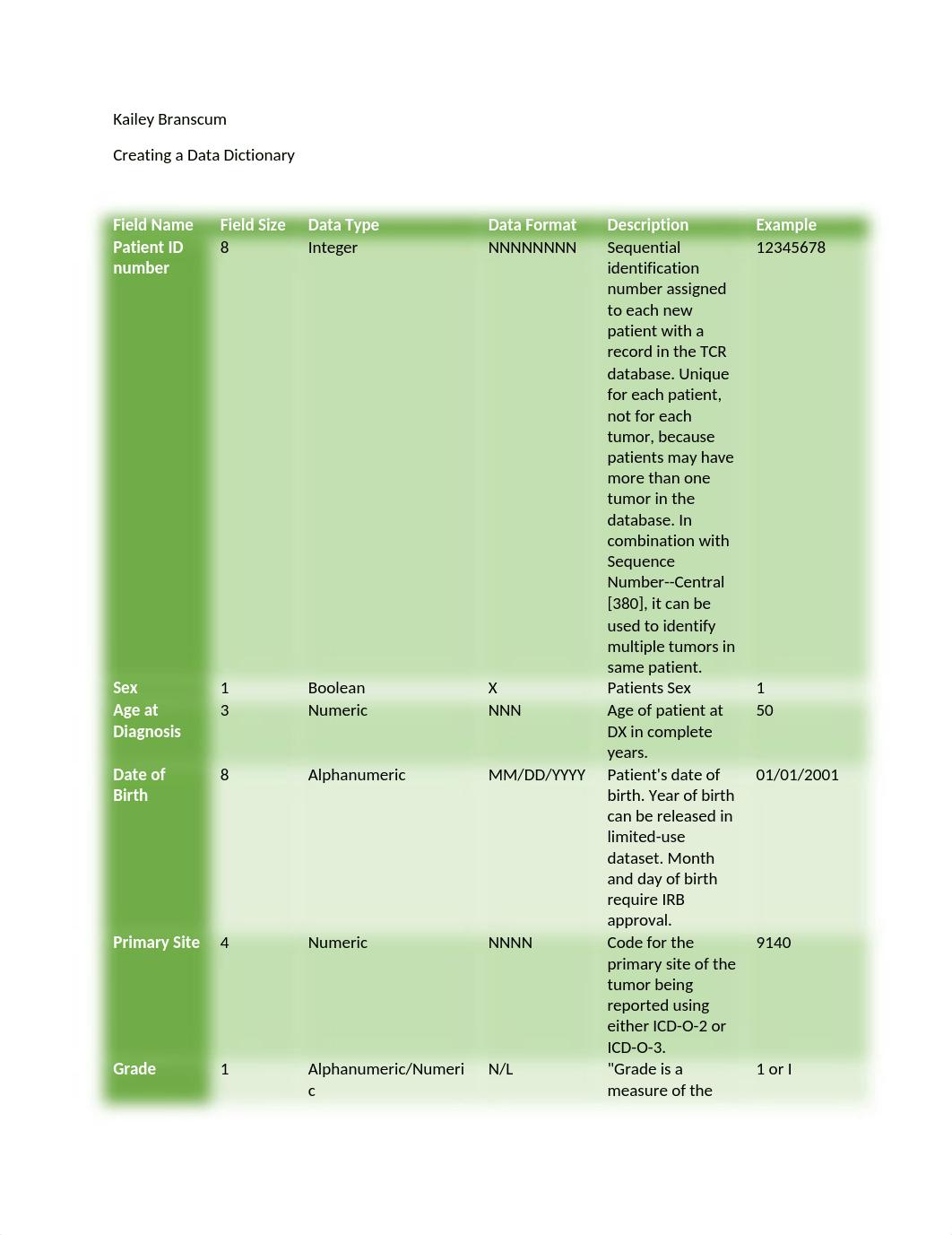 Creating a Data Dictionary.docx_dr4d4h2a6ux_page1