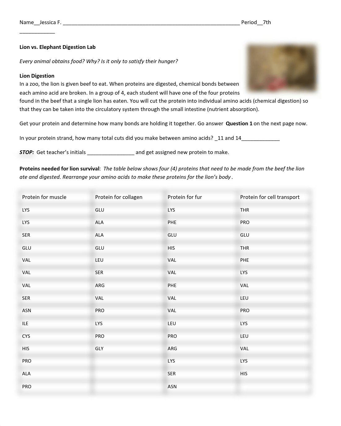 Jessica Farris - Copy of Lion and Elephant Digestion Lab.pdf_dr4o0ay332i_page1