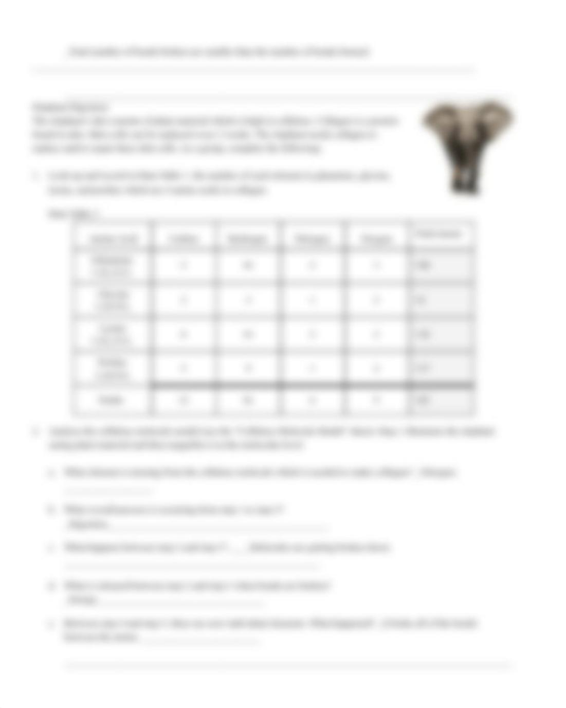 Jessica Farris - Copy of Lion and Elephant Digestion Lab.pdf_dr4o0ay332i_page3