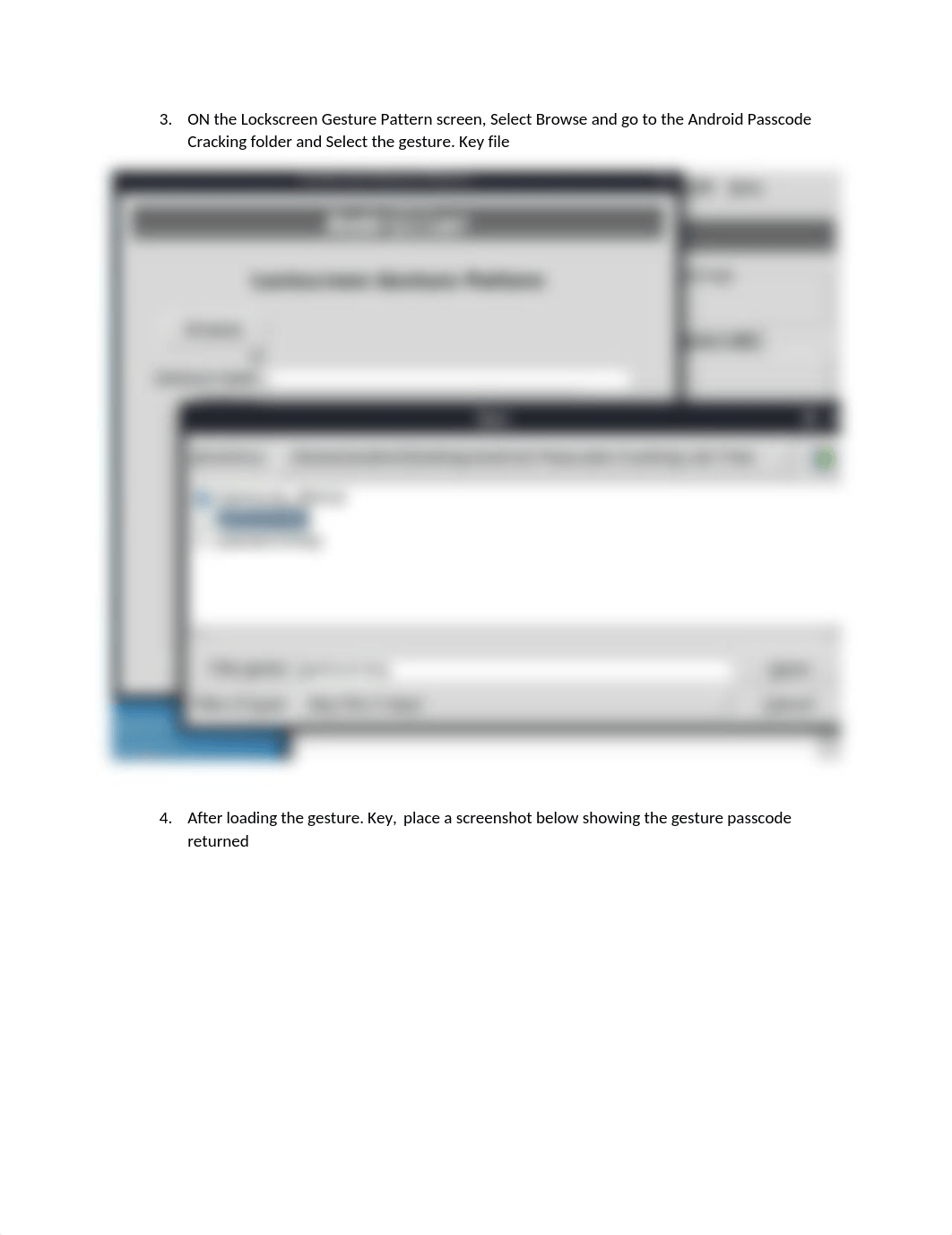 Android Passcode Cracking Lab.docx_dr4qqpffsx1_page3