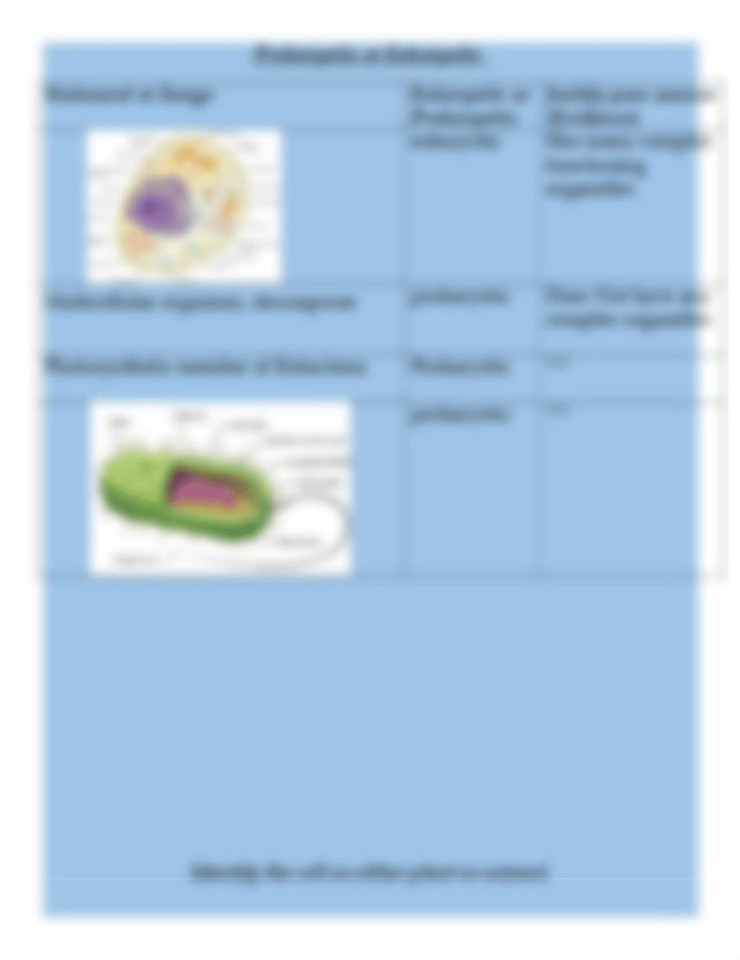 Copy of Meruvia-Cells and Cell Theory Activity 1_dr4u1n4qiq5_page2