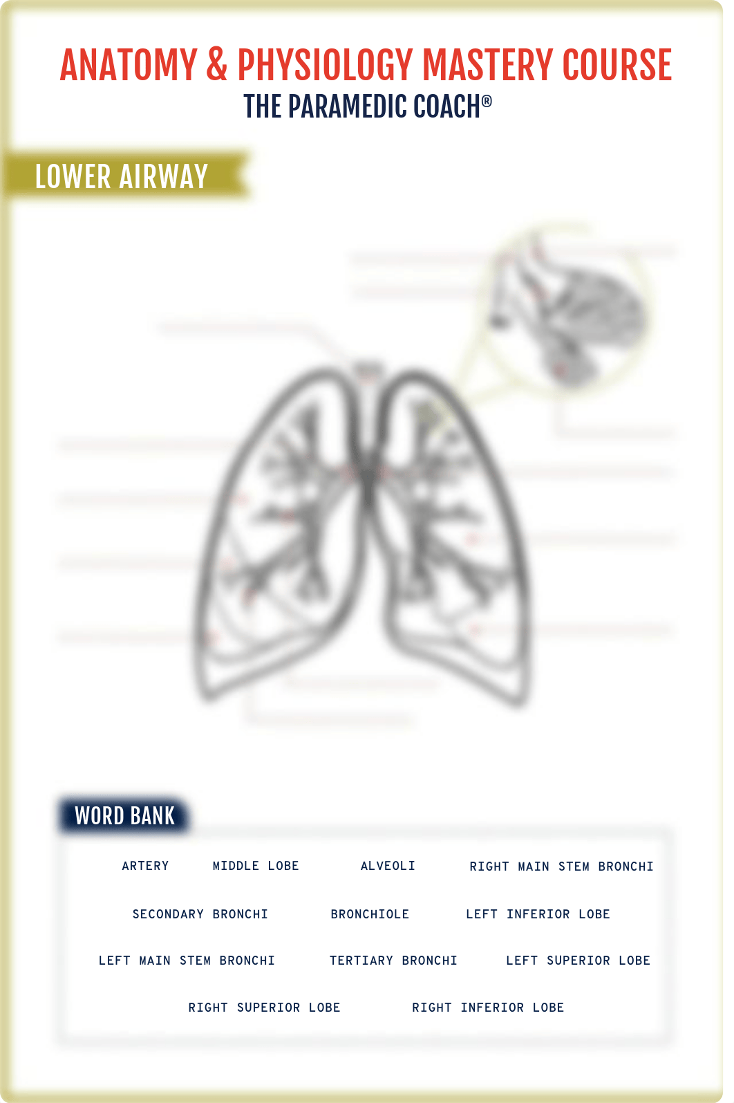 ParamedicCoach_Upper_Lower-Airway_WKST.pdf_dr4ucg2abxr_page2