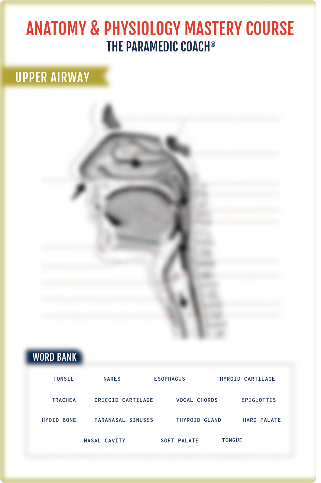 ParamedicCoach_Upper_Lower-Airway_WKST.pdf_dr4ucg2abxr_page1