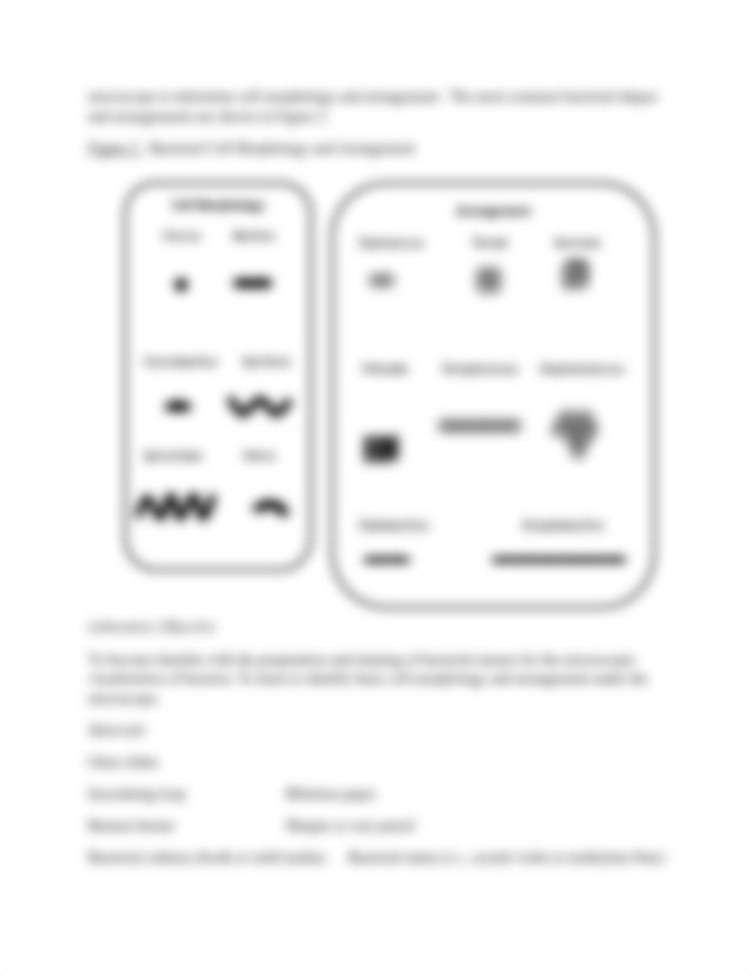 3-Lab_dr4vb1vjmuh_page2