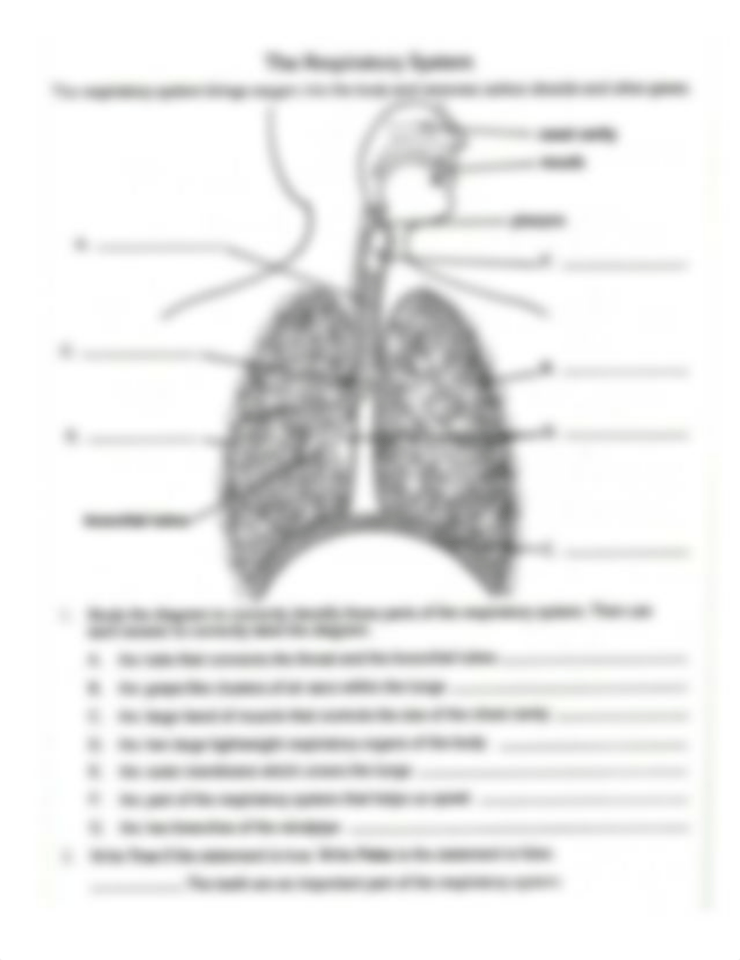 Respiratory System Function Labeling worksheet.docx_dr4y0hqmupz_page1