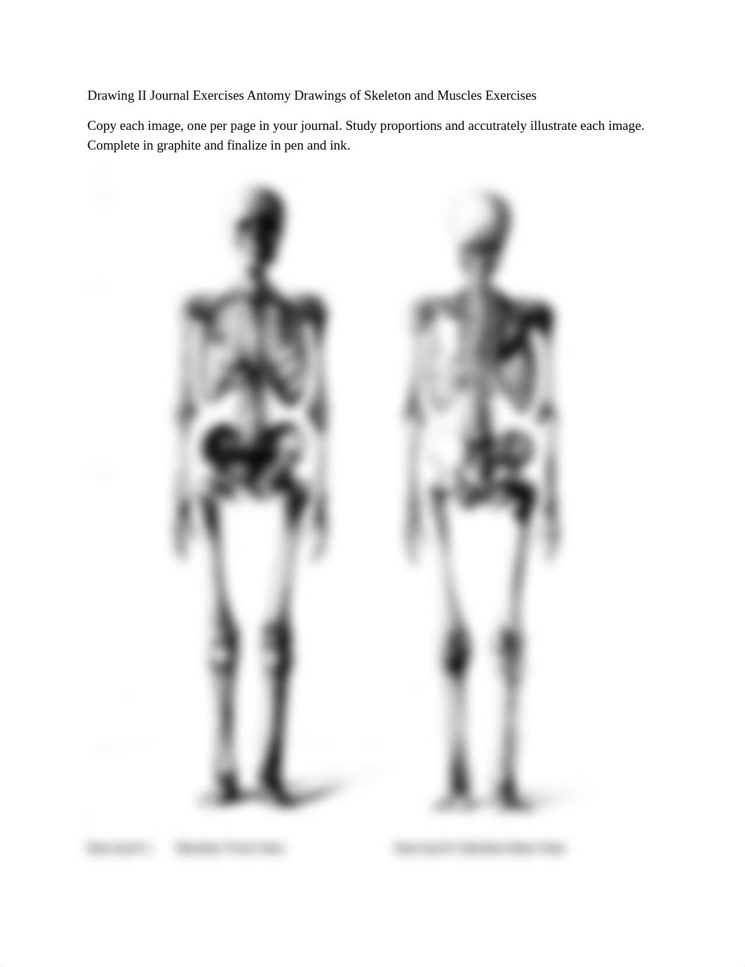 Anatomy  Drawing Assignments Skelton and Muscles Journal Exercises .pdf_dr4zf7p67qu_page1