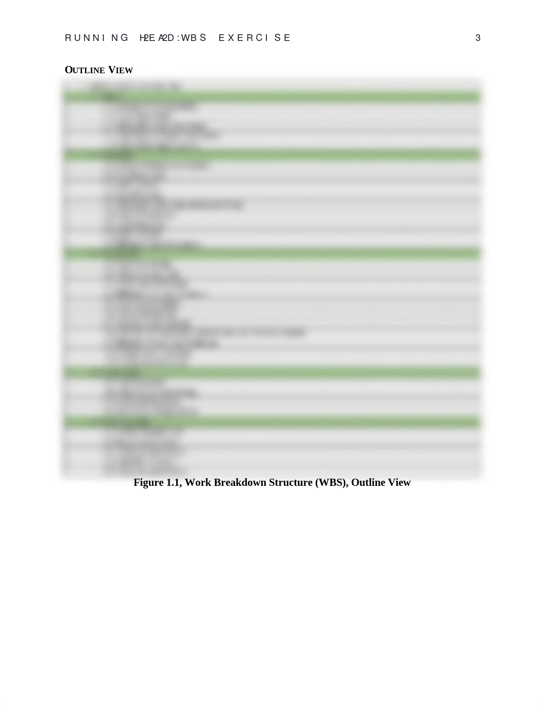 2.2 Work Breakdown Structure Exercise.docx_dr500mqsxrr_page3