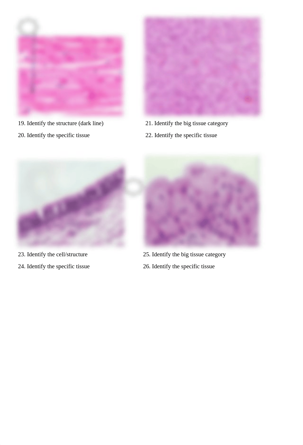 2401 Digital Practice Practical #2 (1).pdf_dr5226rlyhc_page3