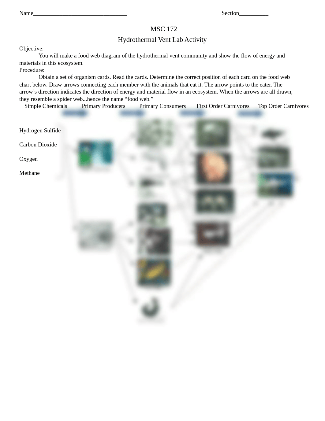 Hydrothermal Vent Food Web.docx_dr52kq1shos_page1