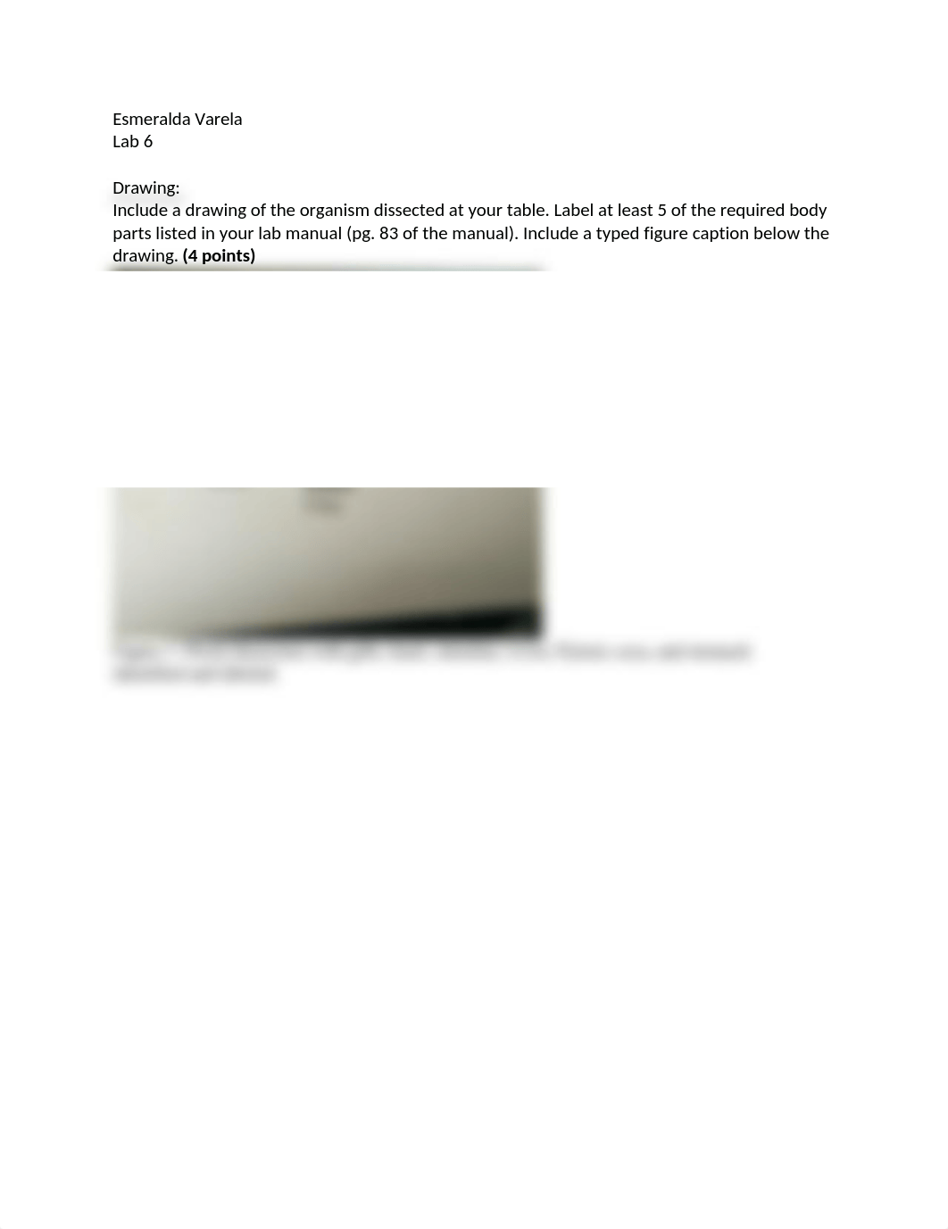 Lab 6 Addendum.docx_dr53ud3k0pi_page1