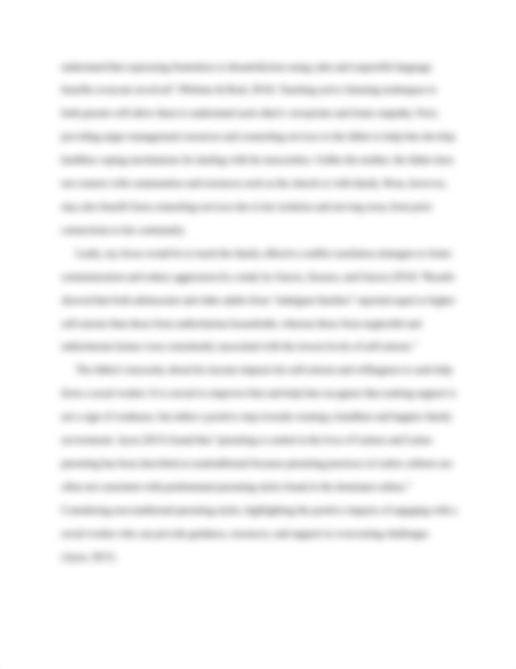 The Del Sol Family Case Study.docx_dr57tlosqp4_page3