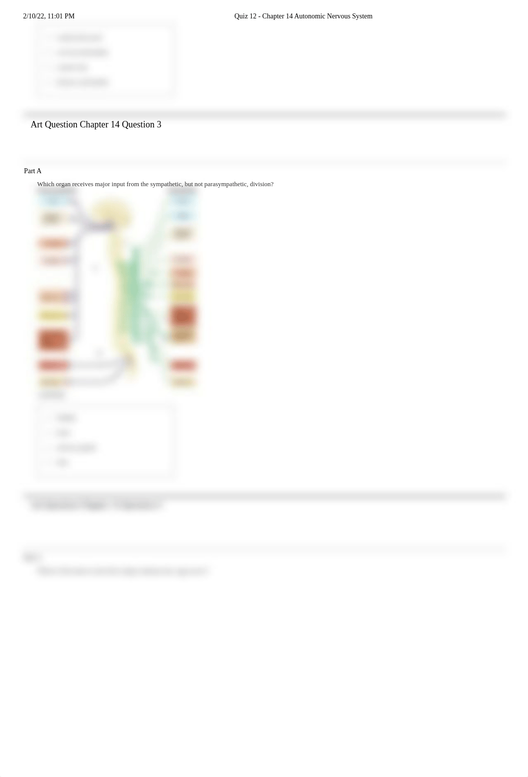 Quiz 12 - Chapter 14 Autonomic Nervous System.pdf_dr5ccyjpt8l_page5