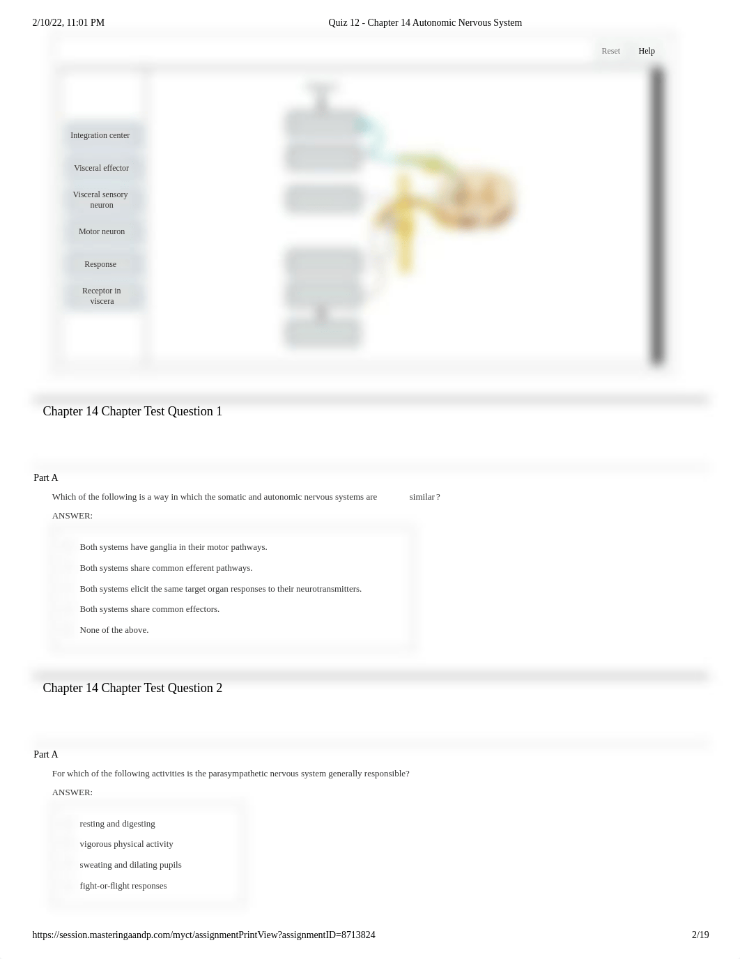Quiz 12 - Chapter 14 Autonomic Nervous System.pdf_dr5ccyjpt8l_page2
