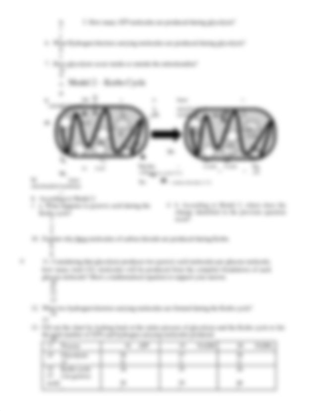 13 Cellular Respiration-S_dr5r12ojic5_page2