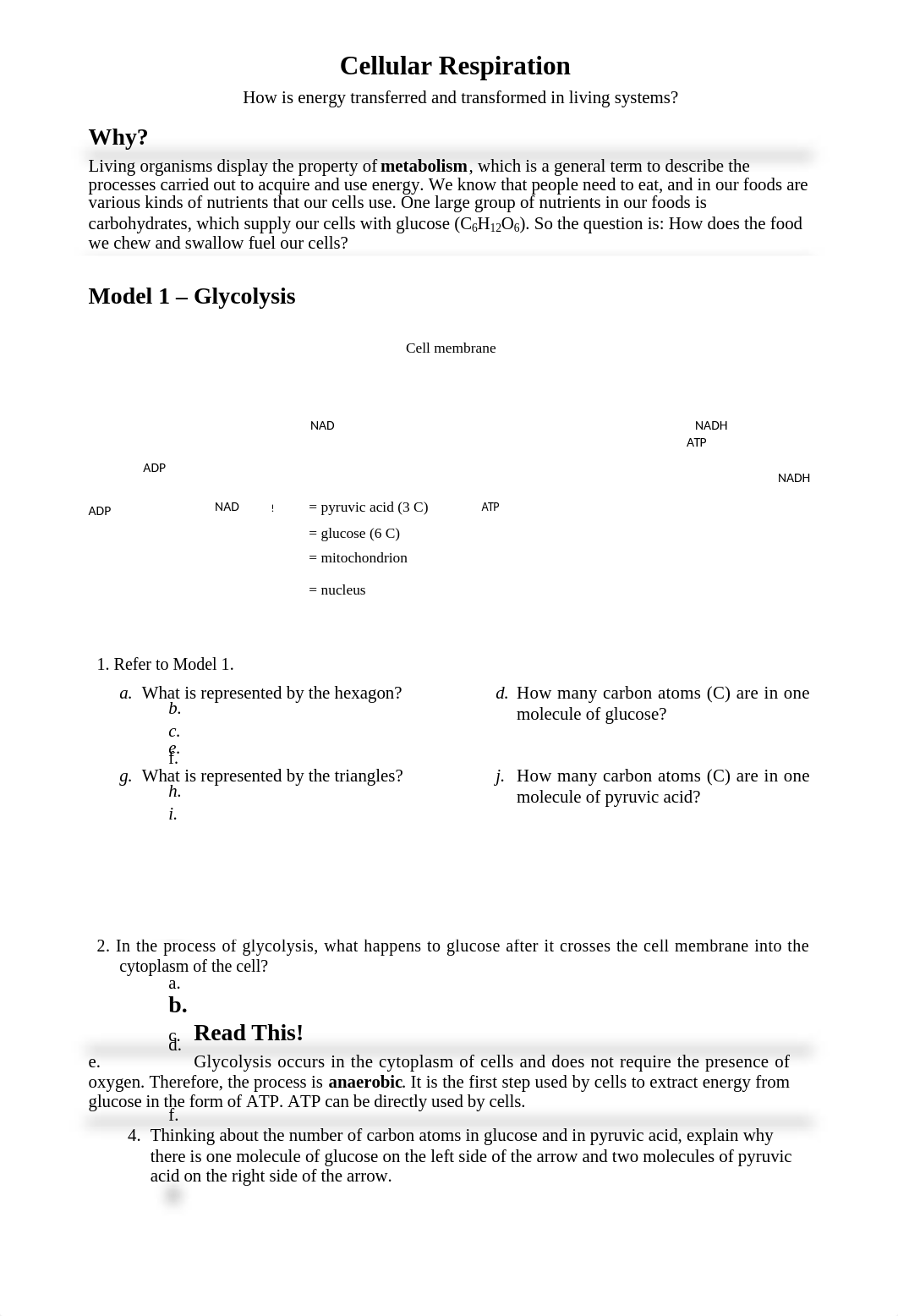 13 Cellular Respiration-S_dr5r12ojic5_page1