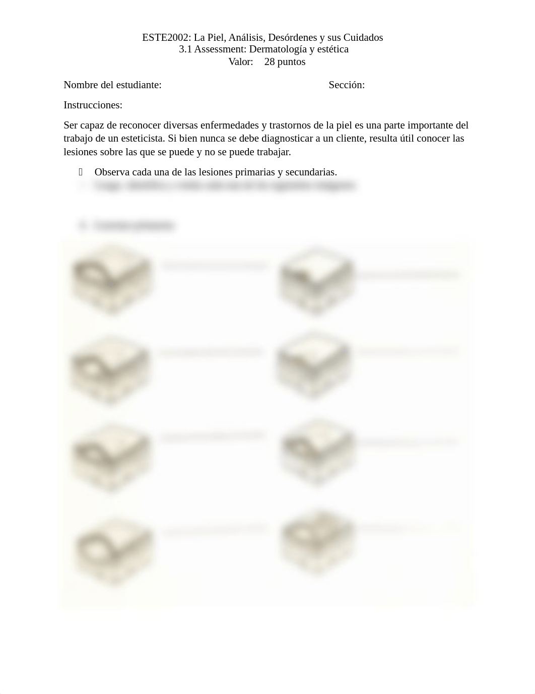 3.1_PLANTILLA_ASSESSMENT.docx_dr606nw4iu2_page1