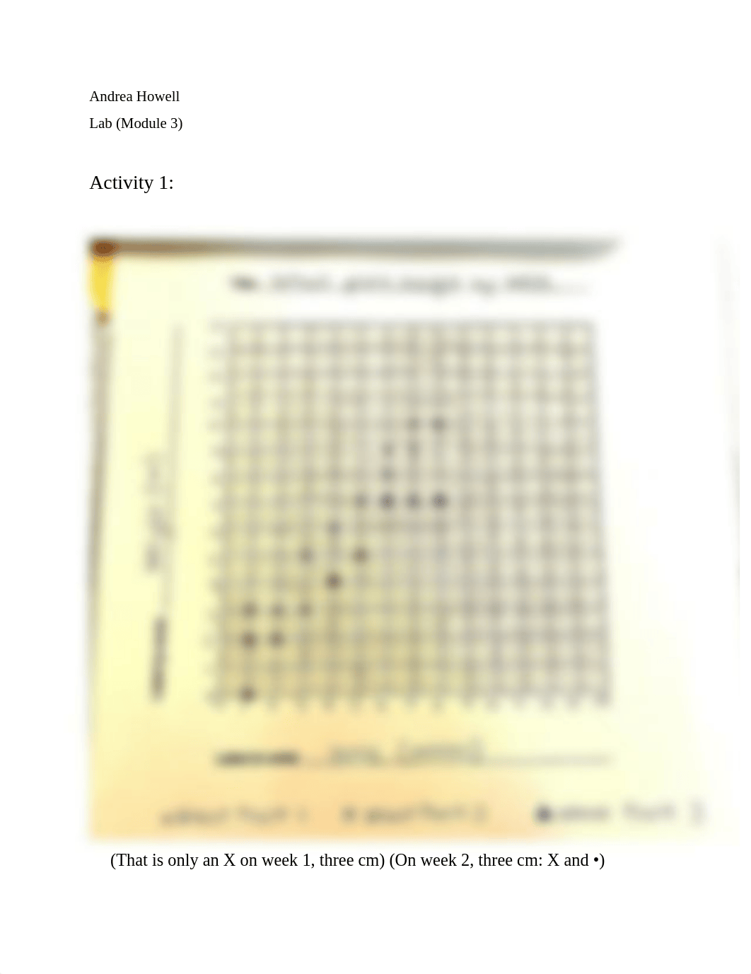 lab module 3.docx_dr6c3esirvx_page1