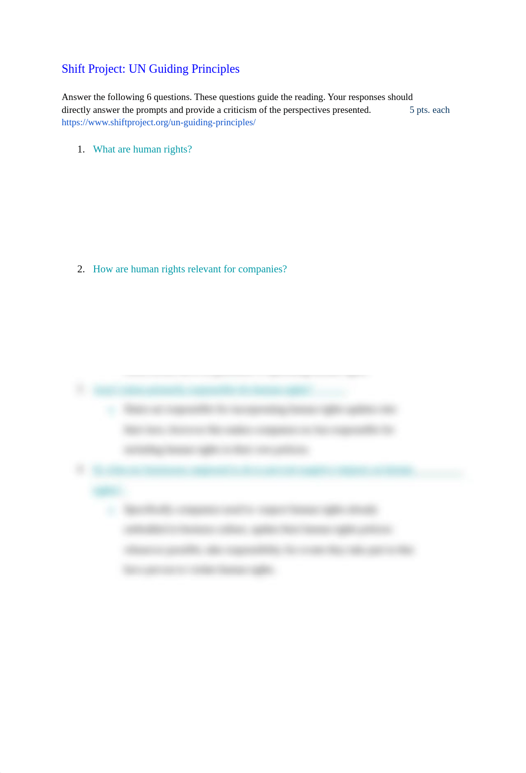 Copy of Shift Project_  UN Guiding Principles.pdf_dr6drtjkiky_page1