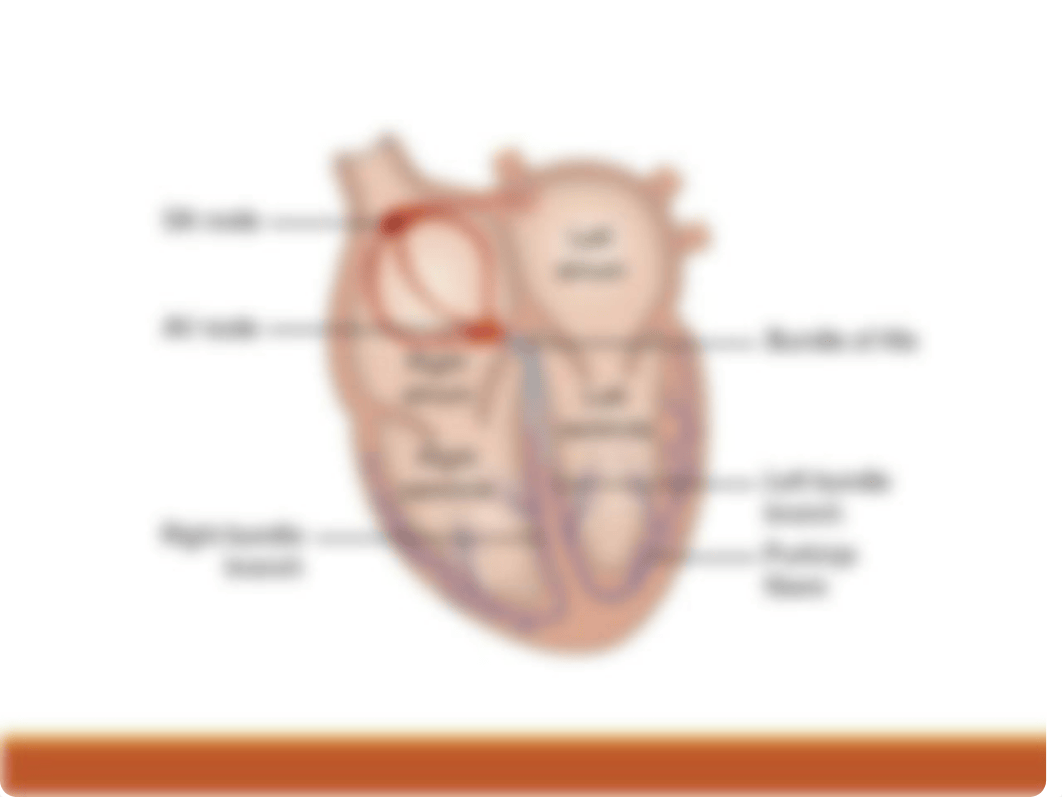 Cardiac Disorders PPT FINAL.pptx_dr6fcc56ctd_page3