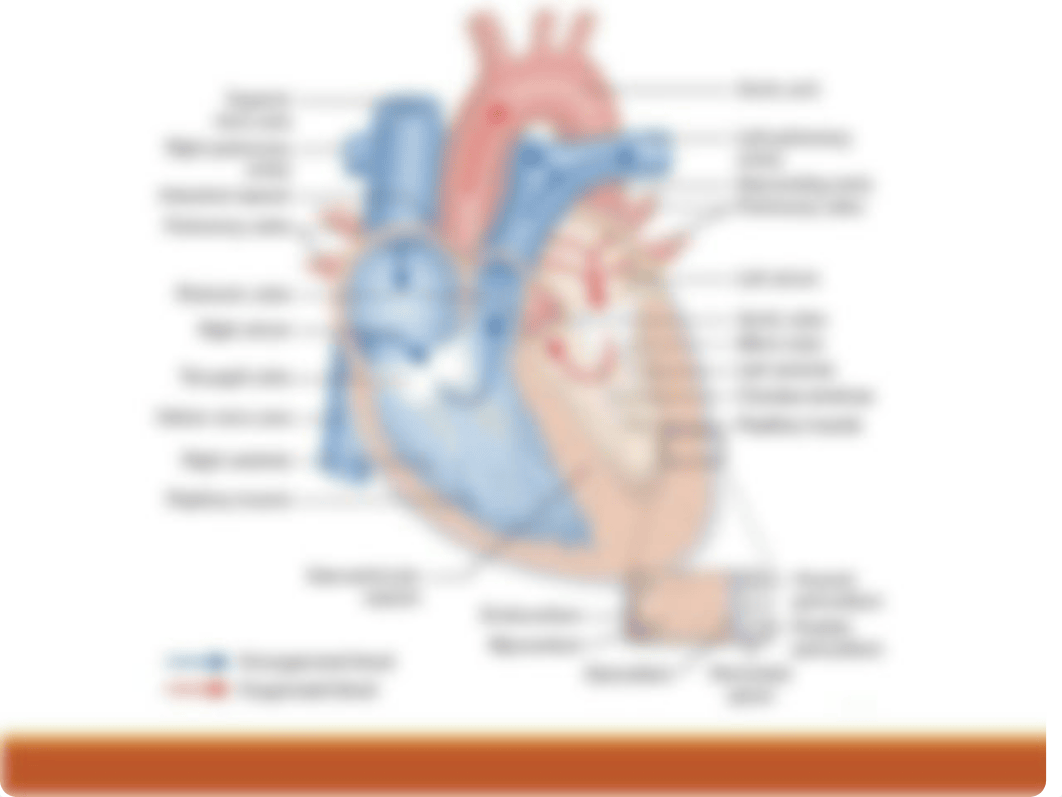 Cardiac Disorders PPT FINAL.pptx_dr6fcc56ctd_page2