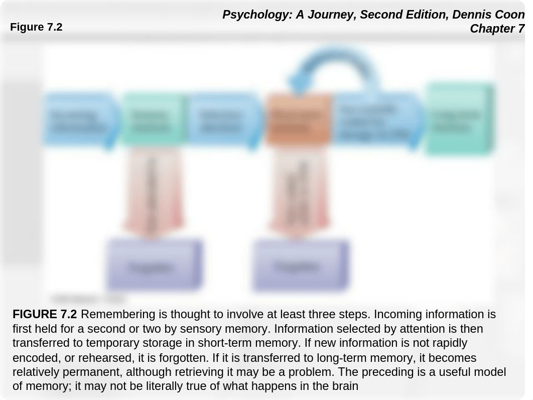 chapter 7 - Memeory.ppt_dr6hqfdmhw4_page3