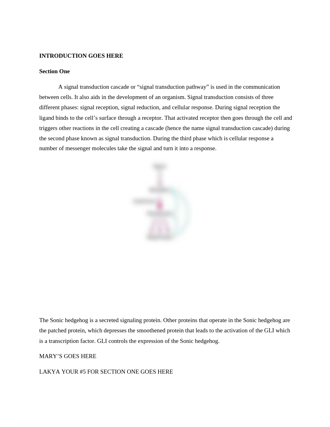 Cell Biology - Case Study_dr6mkk36xk6_page2