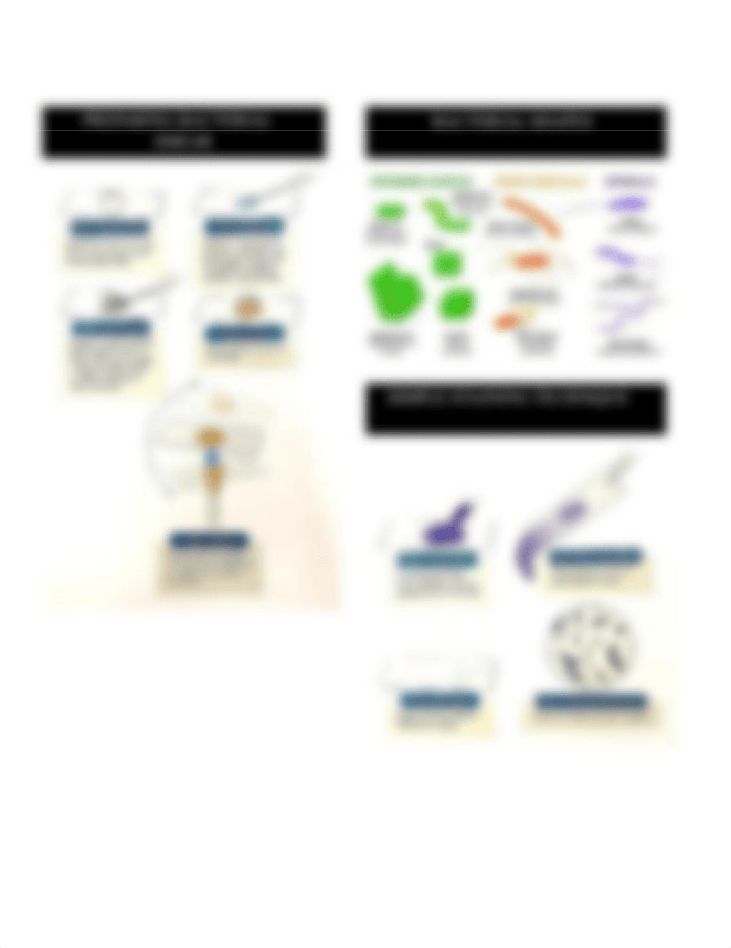 week 2 - Bacterial Smear and Simple Staining.pdf_dr6opix1dzo_page2